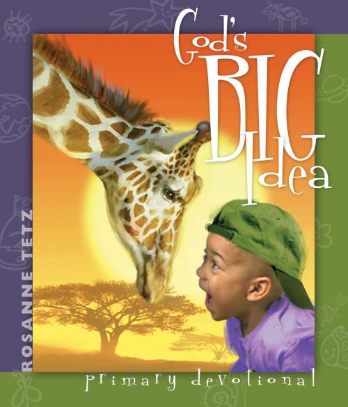 Cover of the book God's Big Idea by RosAnne C. Tetz, Review and Herald Publishing Association