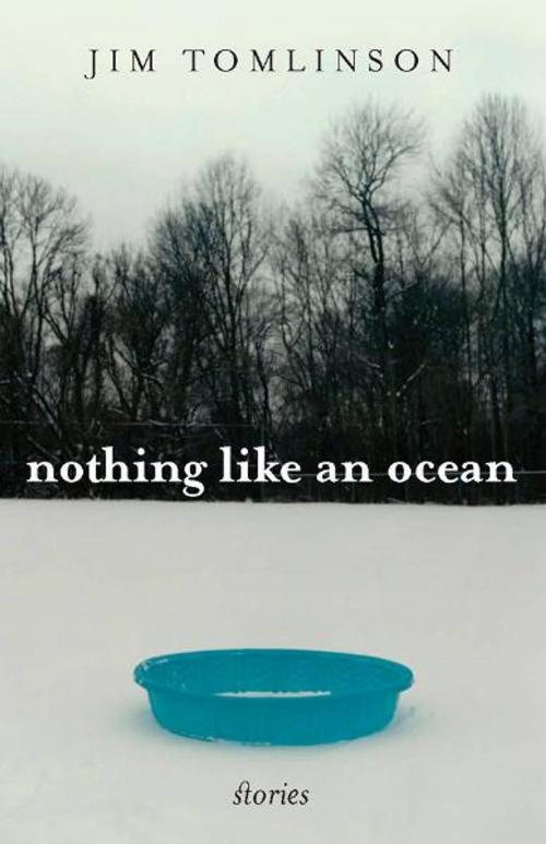 Cover of the book Nothing Like an Ocean by Jim Tomlinson, The University Press of Kentucky
