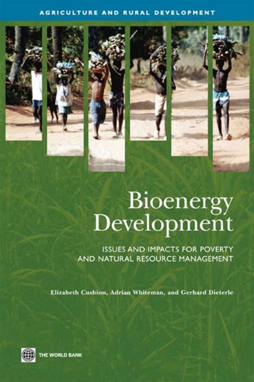 Cover of the book Bioenergy Development: Issues And Impacts For Poverty And Natural Resource Management by Cushion Elizabeth; Whiteman Adrian; Dieterle Gerhard, World Bank