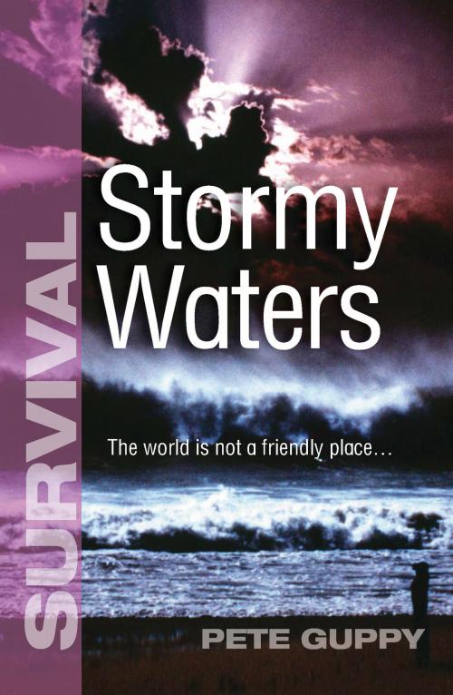 Cover of the book Stormy Waters by Pete Guppy, Rising Stars UK Ltd
