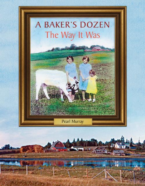 Cover of the book A Baker's Dozen by Pearl Murray, Borealis Press