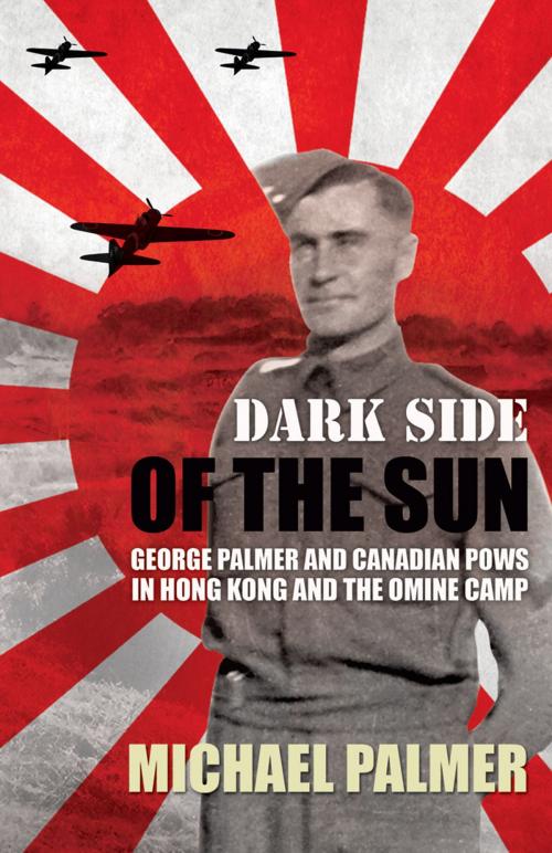 Cover of the book Dark Side of the Sun by Michael Palmer, Borealis Press