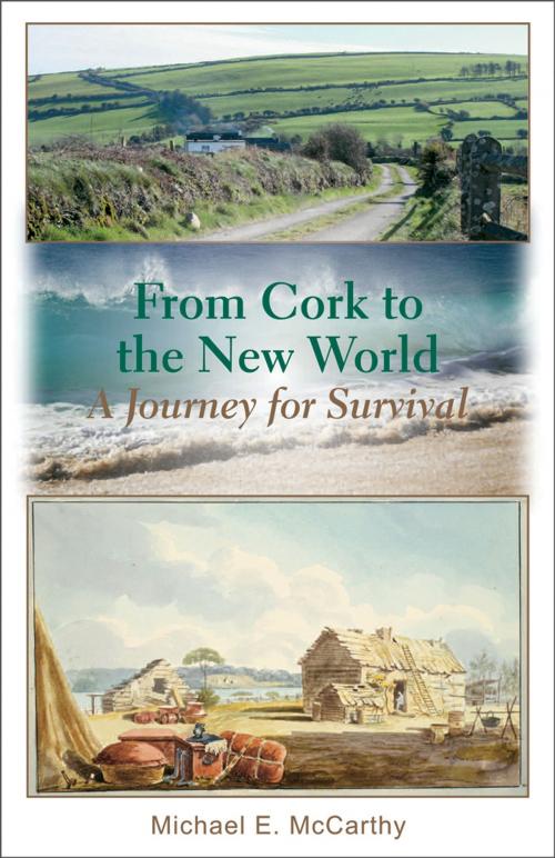 Cover of the book From Cork to the New World: a journey for survival by Michael E McCarthy, Borealis Press