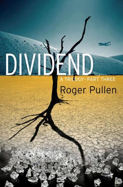Cover of the book Dividend. by Roger Pullen, RoyalBlue Ltd