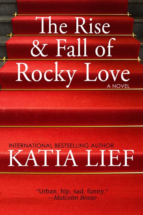 Cover of the book The Rise and Fall of Rocky Love by Katia Lief, Blue Table Books