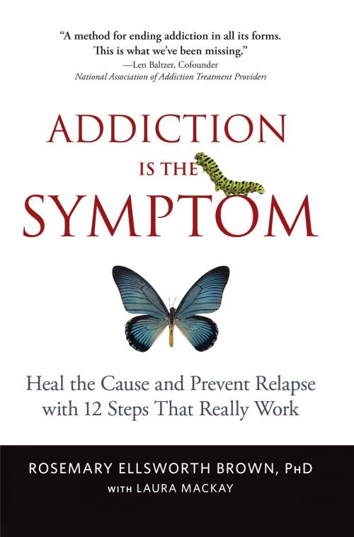 Cover of the book Addiction Is the Symptom by Rosemary Ellsworth Brown, PhD, Laura MacKay, Algorithm Books