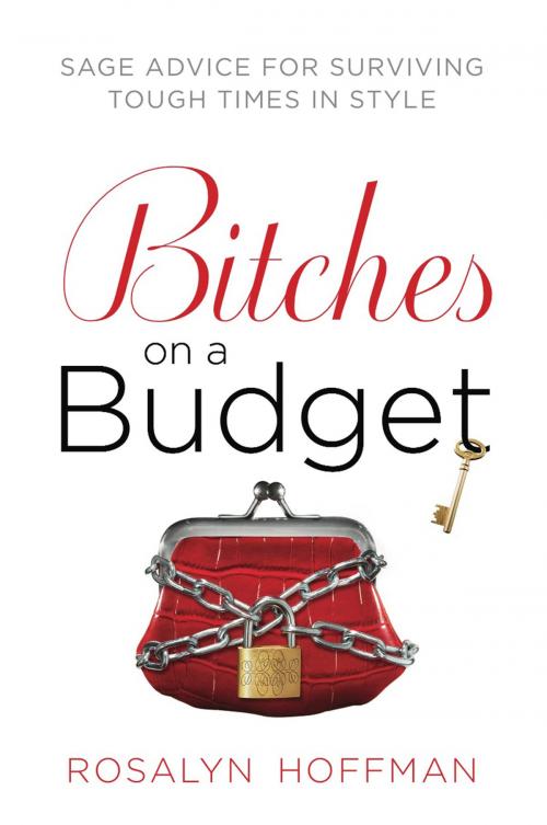 Cover of the book Bitches on a Budget by Rosalyn Hoffman, Penguin Publishing Group