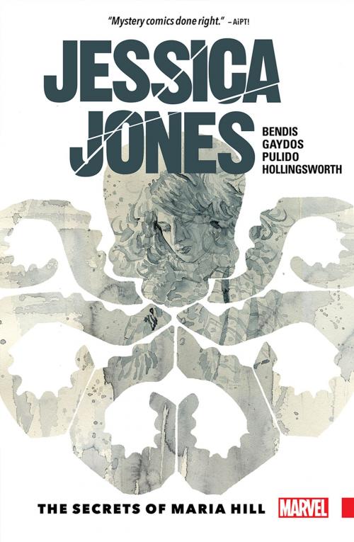 Cover of the book Jessica Jones Vol. 2 by Brian Michael Bendis, Marvel Entertainment