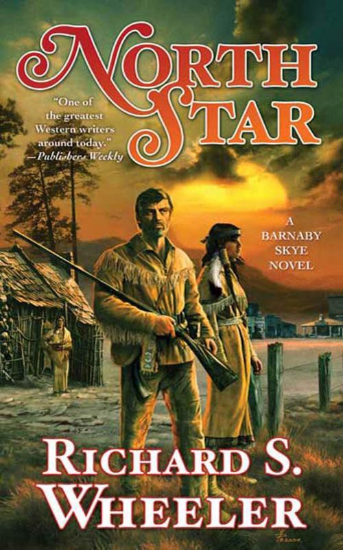 Cover of the book North Star by Richard S. Wheeler, Tom Doherty Associates