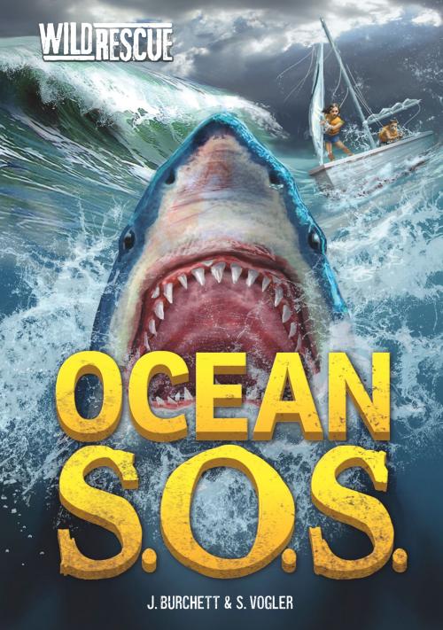 Cover of the book Ocean S.O.S. by Jan Burchett, Capstone