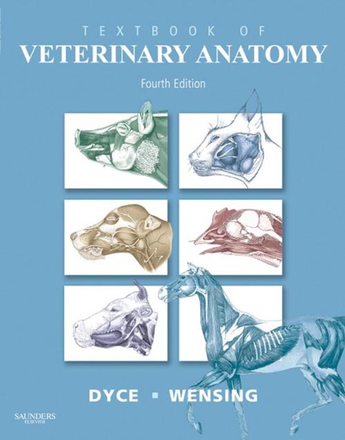 Cover of the book Textbook of Veterinary Anatomy - E-Book by Keith M. Dyce, DVM & S, BSc, MRCVS, Wolfgang O. Sack, DVM, PhD, Dr. med. vet, C. J. G. Wensing, DVM, PhD, Elsevier Health Sciences