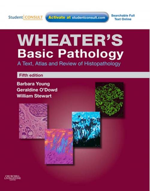 Cover of the book Wheater's Basic Pathology: A Text, Atlas and Review of Histopathology E-Book by Barbara Young, BSc, Med Sci (Hons), PhD, MB, BChir, MRCP, FRCPA, Geraldine O'Dowd, BSc (Hons), MBChB (Hons), FRCPath, William Stewart, BSc, MBChB, PhD, DipFMS, MRCPath, Elsevier Health Sciences