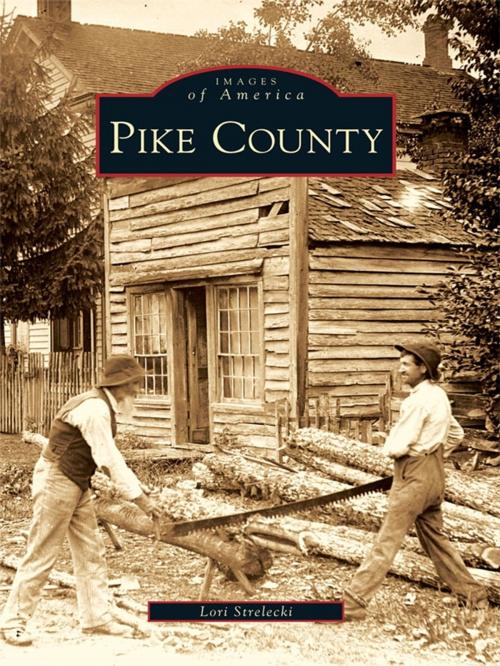 Cover of the book Pike County by Lori Strelecki, Arcadia Publishing Inc.