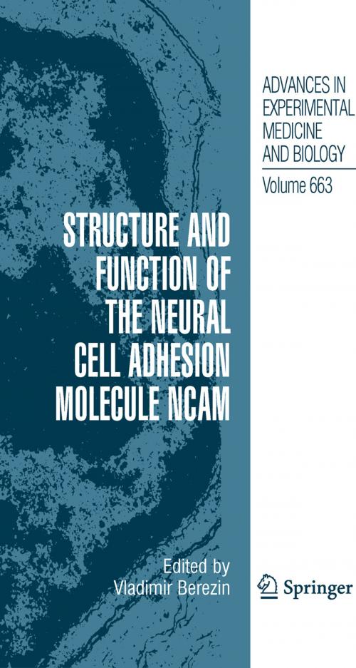 Cover of the book Structure and Function of the Neural Cell Adhesion Molecule NCAM by , Springer New York