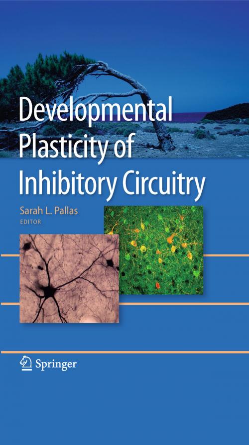 Cover of the book Developmental Plasticity of Inhibitory Circuitry by , Springer US