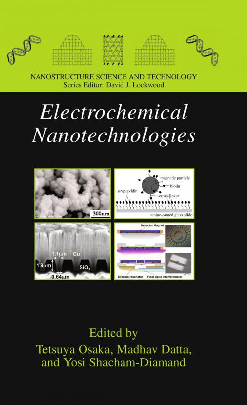 Cover of the book Electrochemical Nanotechnologies by , Springer New York