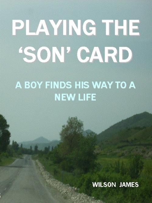 Cover of the book Playing the 'Son' Card by Wilson James, Wilson James