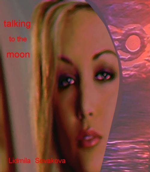 Cover of the book Talking to the Moon by Lidmila Sovakova, Lidmila Sovakova