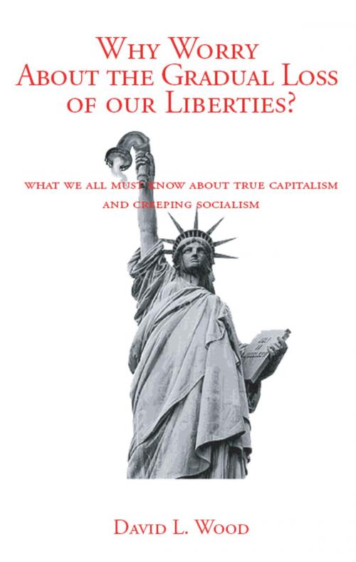 Cover of the book Why Worry About the Gradual Loss of Our Liberties? by David L. Wood, Elderberry Press, Inc.
