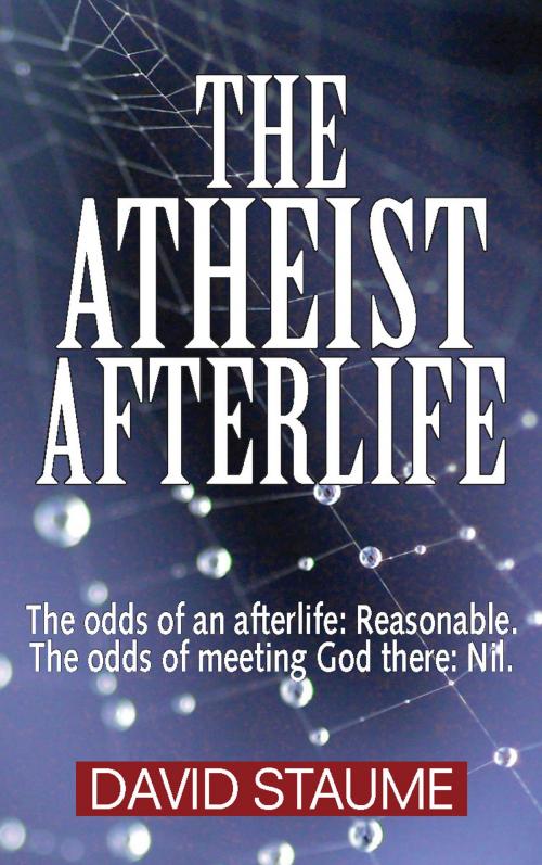 Cover of the book The Atheist Afterlife by David Staume, Agio Publishing House