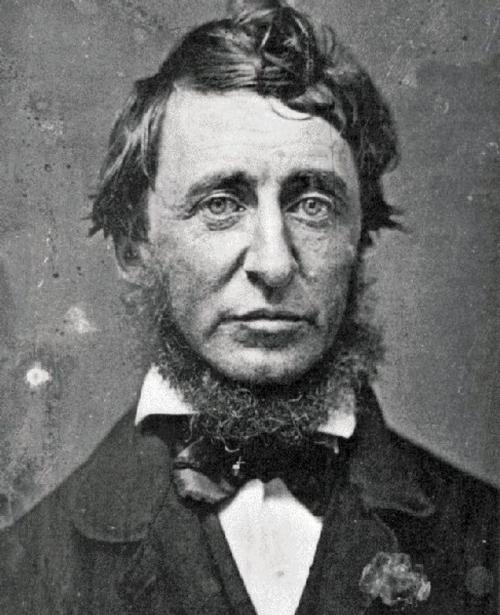 Cover of the book Thoreau: 5 books and 4 essays by Henry David Thoreau, B&R Samizdat Express
