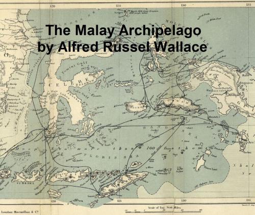 Cover of the book The Malay Archipelago by Alfred Russel Wallace, Seltzer Books