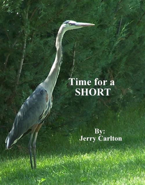 Cover of the book Time for a Short? by Jerry Carlton, Jerry Carlton