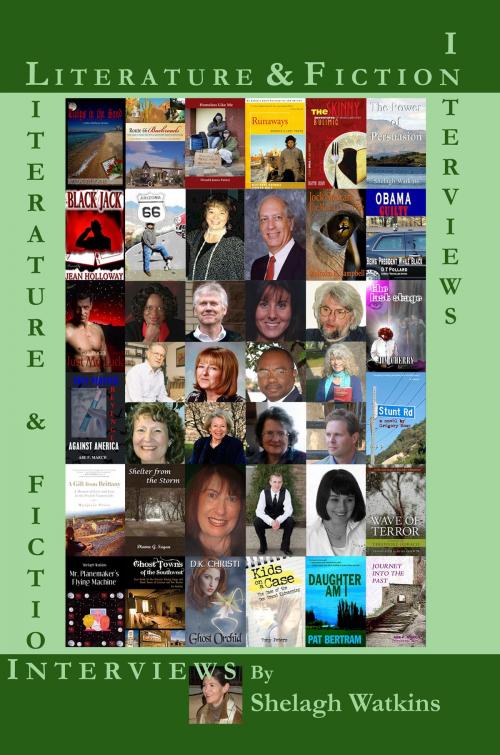 Cover of the book Literature & Fiction Interviews Volume I by Shelagh Watkins, Shelagh Watkins