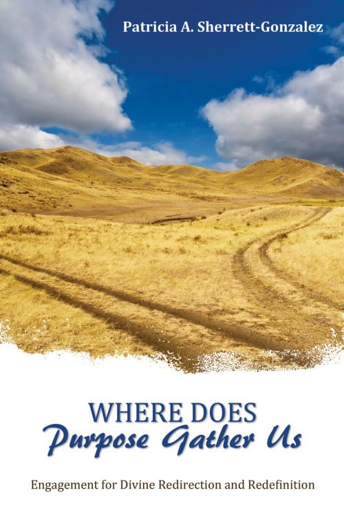 Cover of the book Where Does Purpose Gather Us by Patricia A. Sherrett-Gonzalez, Word Alive Press