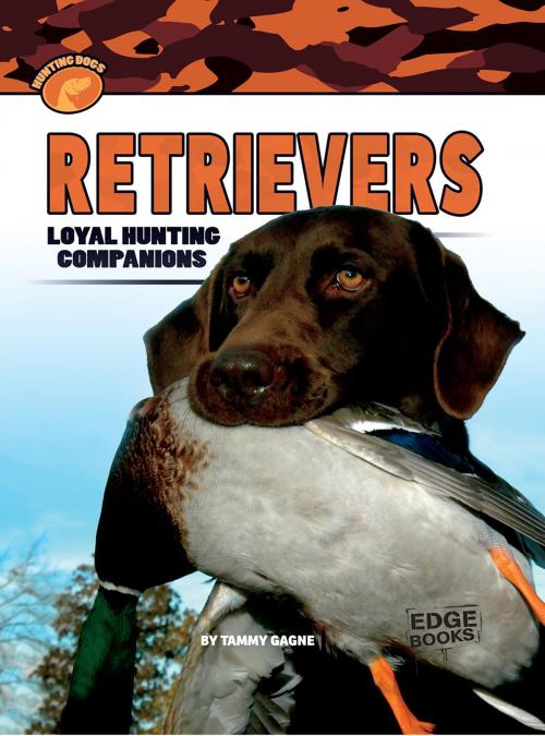 Cover of the book Retrievers by Tammy Ann Gagne, Capstone
