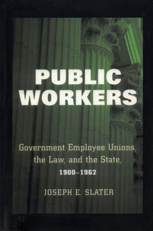 Cover of the book Public Workers by Joseph E. Slater, Cornell University Press