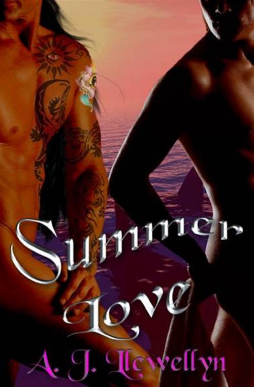 Cover of the book Summer by D.J. Manly, eXtasy Books