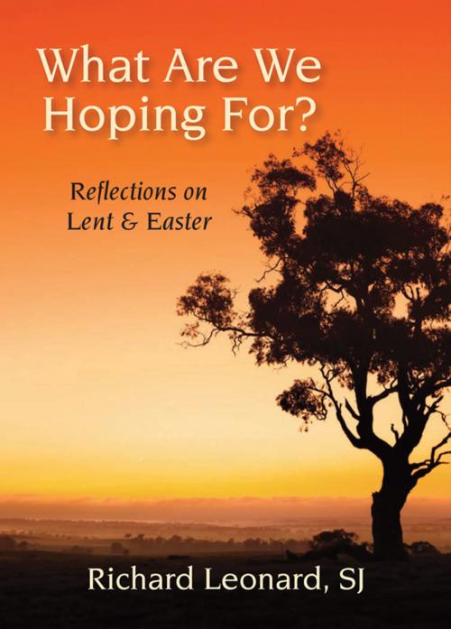 Cover of the book What Are We Hoping For? by Richard Leonard, SJ, Paulist Press
