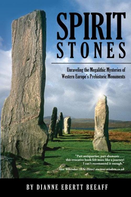 Cover of the book Spirit Stones by Dianne Ebertt Beeaff, Five Star Publications, Inc. (AZ)