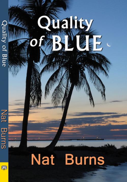 Cover of the book The Quality of Blue by Nat Burns, Bella Books