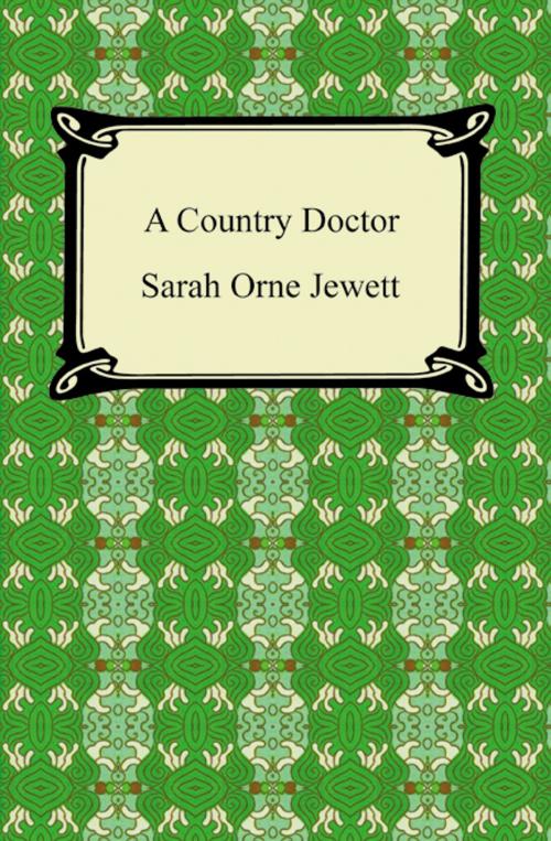 Cover of the book A Country Doctor by Sarah Orne Jewett, Neeland Media LLC