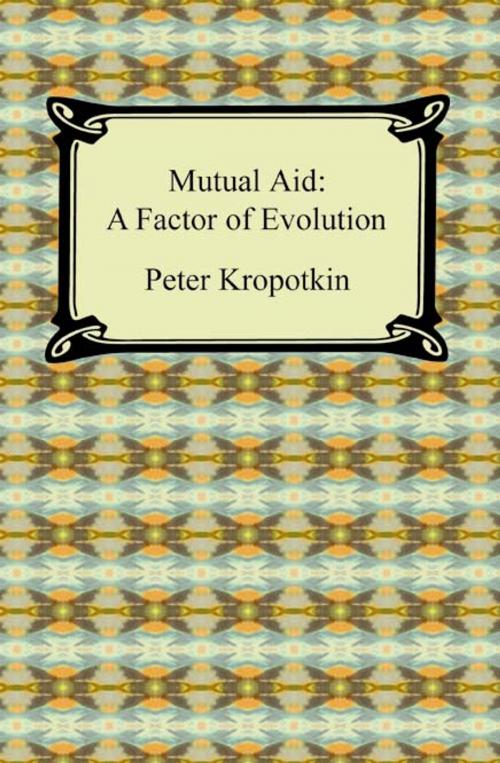Cover of the book Mutual Aid: A Factor of Evolution by Peter Kropotkin, Neeland Media LLC