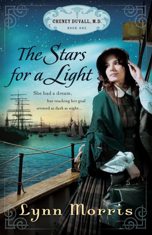 Cover of the book The Stars for a Light by Lynn Morris, Hendrickson Publishers