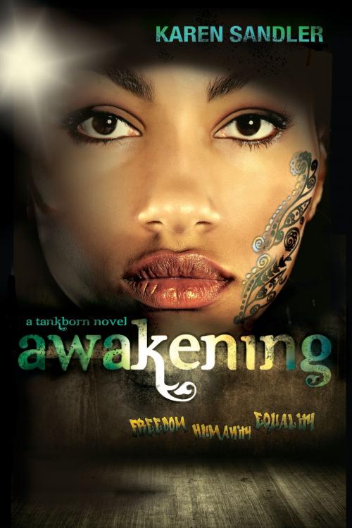 Cover of the book Awakening by Karen Sandler, Lee & Low Books