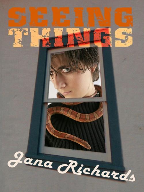 Cover of the book Seeing Things by Jana Richards, Uncial Press