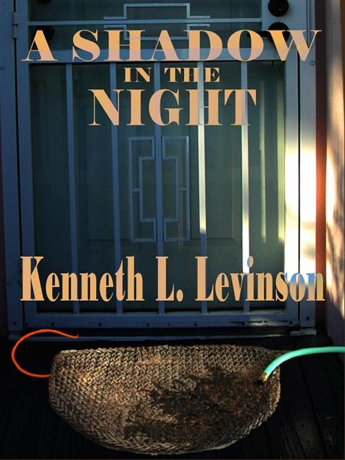 Cover of the book A Shadow in the Night by Kenneth L. Levinson, Uncial Press