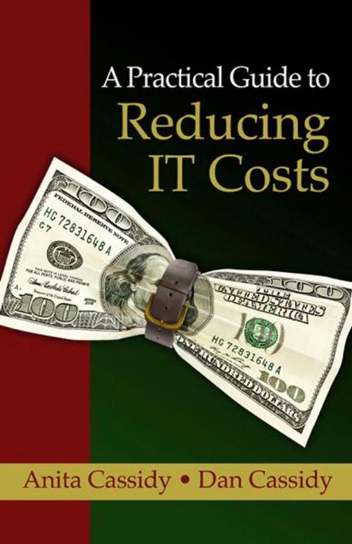 Cover of the book A Practical Guide to Reducing IT Costs by Anita Cassidy and Dan Cassidy, J. Ross Publishing