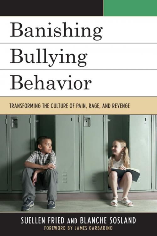 Cover of the book Banishing Bullying Behavior by SuEllen Fried, ADTR, co-author, “Bullies, Targets & Witnesses, Helping Children Break the Pain Chain”, R&L Education