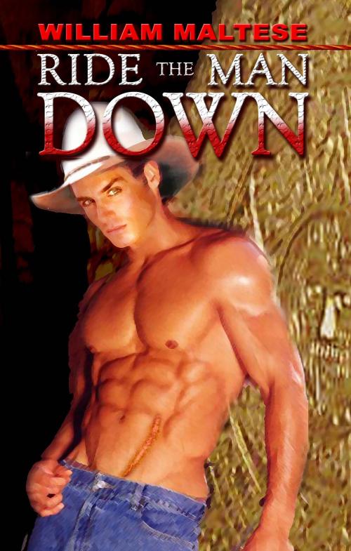 Cover of the book Ride the Man Down by William Maltese, Mlrpress