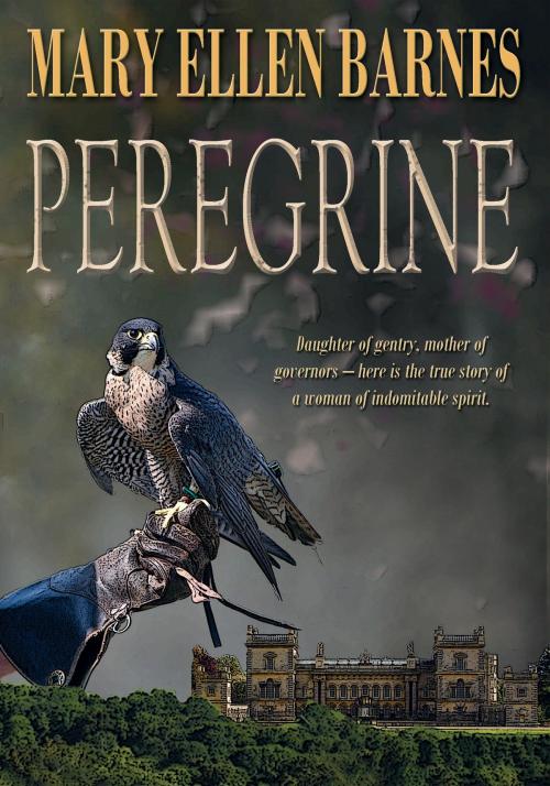 Cover of the book Peregrine by Mary Ellen Barnes, Fireship Press