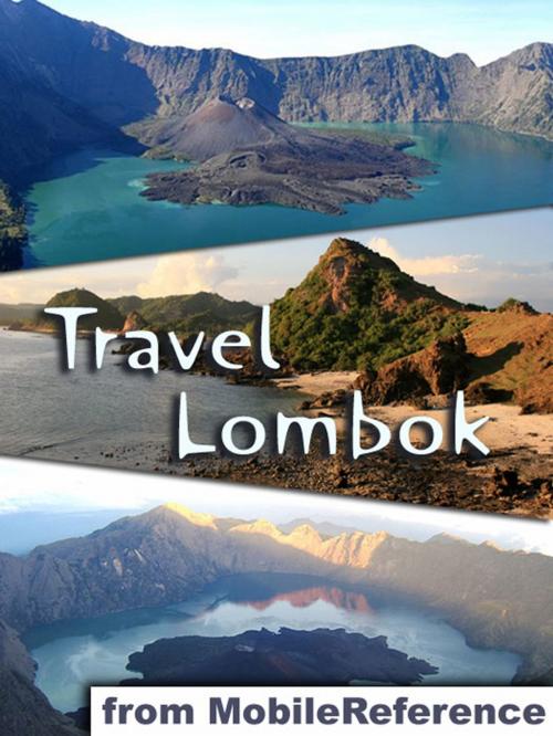 Cover of the book Travel Lombok, Indonesia by MobileReference, MobileReference