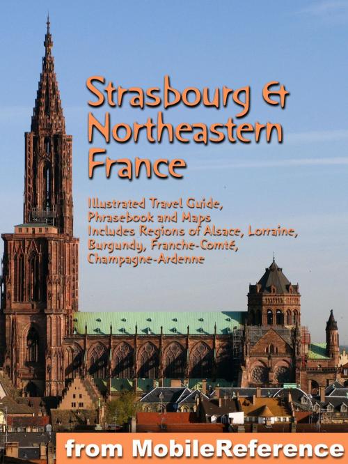 Cover of the book Strasbourg & Northeastern France by MobileReference, MobileReference