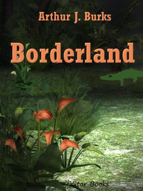Cover of the book Borderland by Arthur J Burks, eStar Books