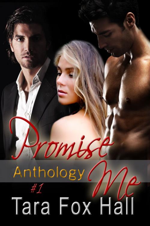 Cover of the book Promise Me Anthology by Tara Fox Hall, Melange Books