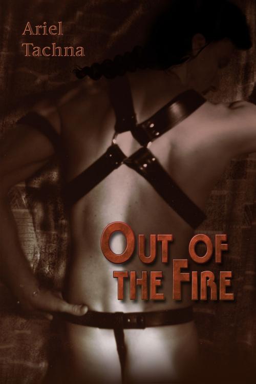 Cover of the book Out of the Fire by Ariel Tachna, Dreamspinner Press